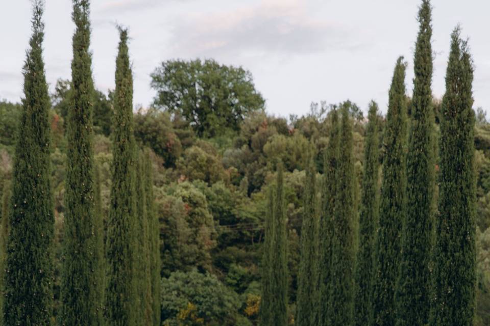 Umbria wedding