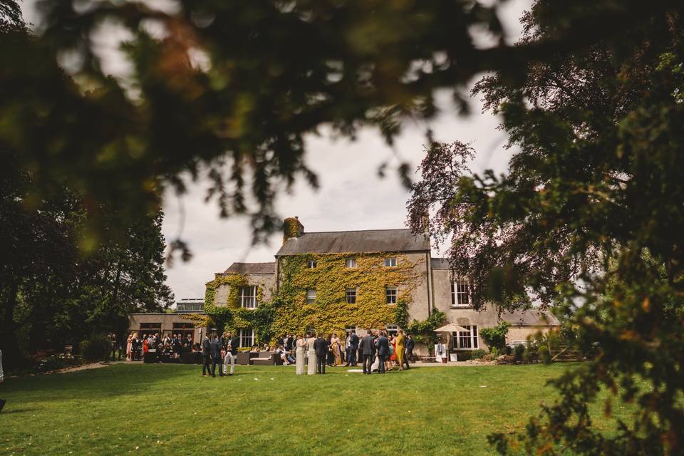 Ivy-covered facade