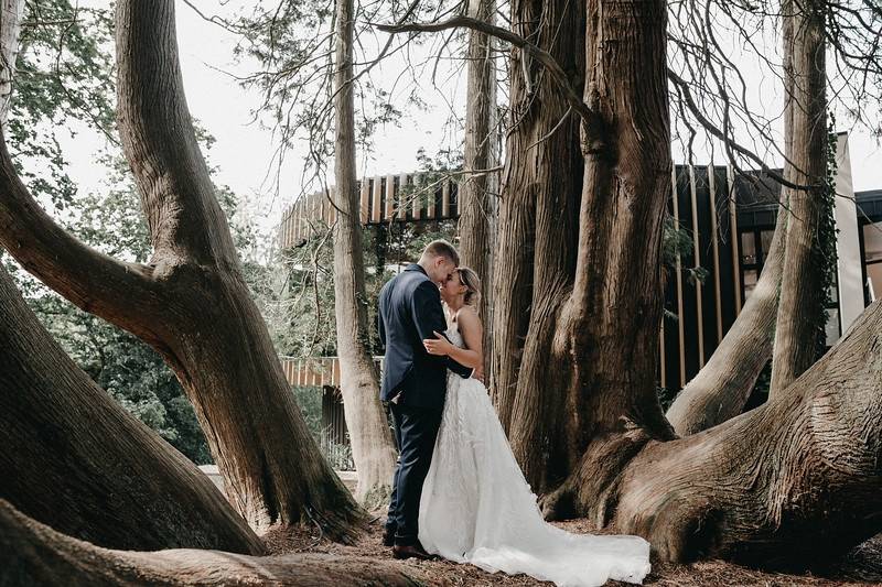 A kiss in the woods