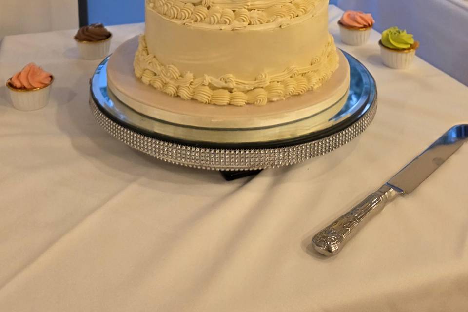Elegent Vintage piped cake