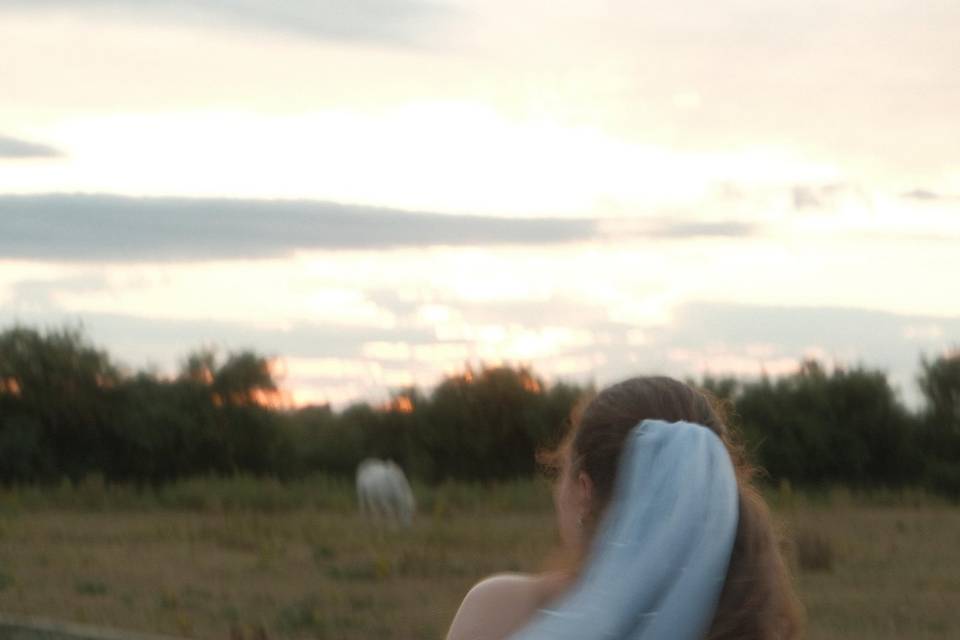 Angels Hen