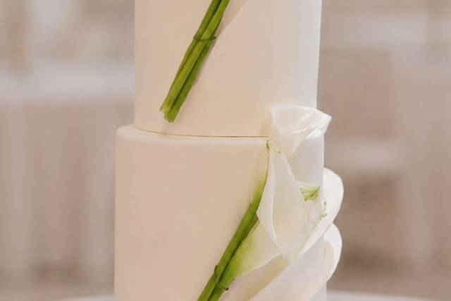 Calla lily