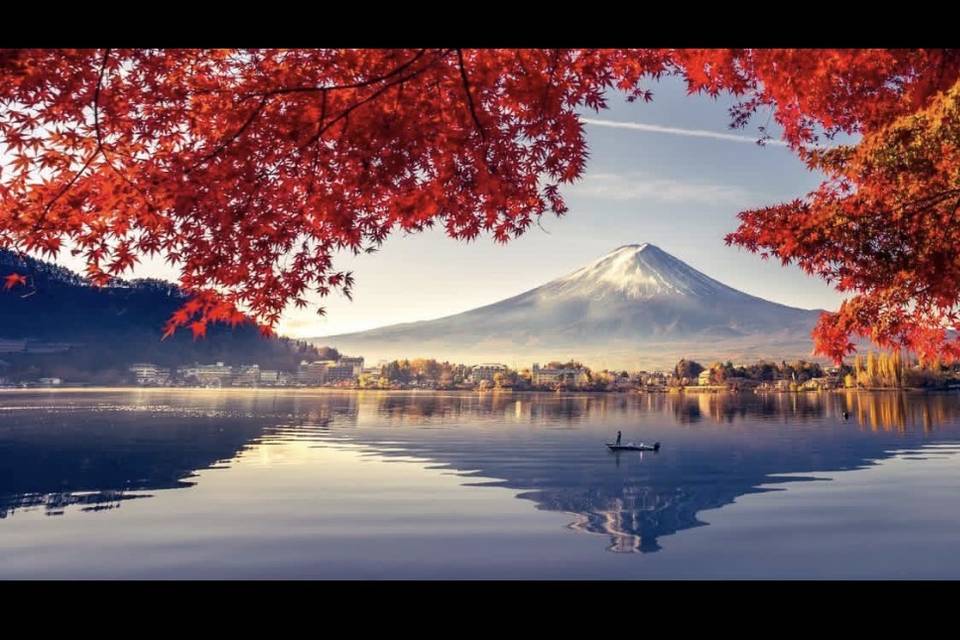 Ask Me about ASIA 🇯🇵