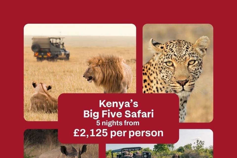 Perhaps You Fancy an Adventure