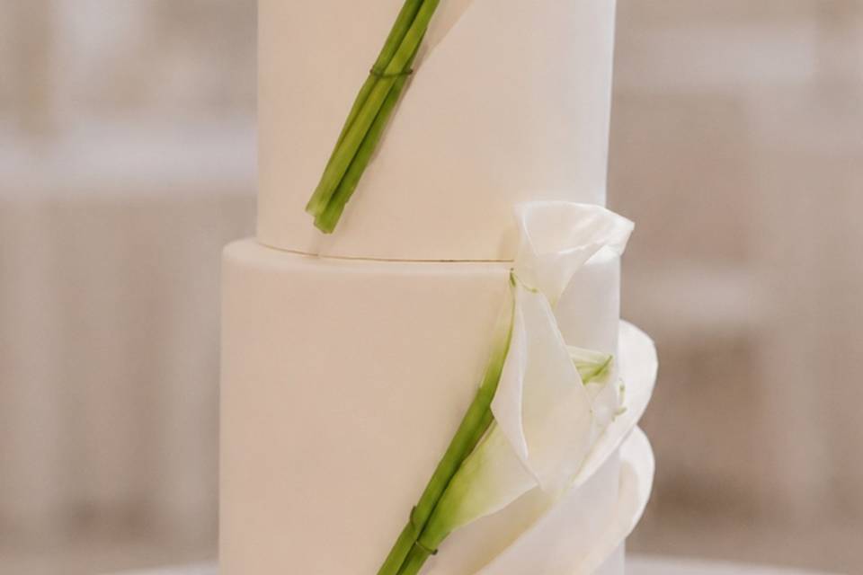 Calla lily