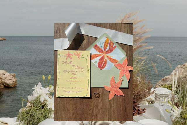 Sunny’s Illustrations