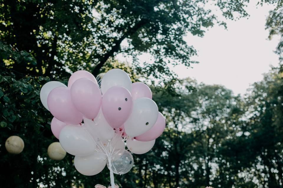 Wedding party and balloons