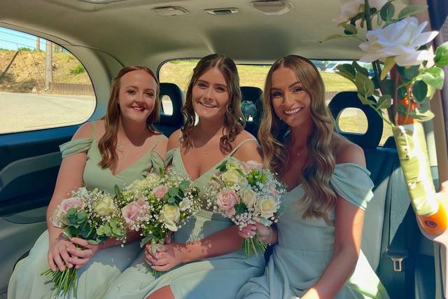Wedding party transport