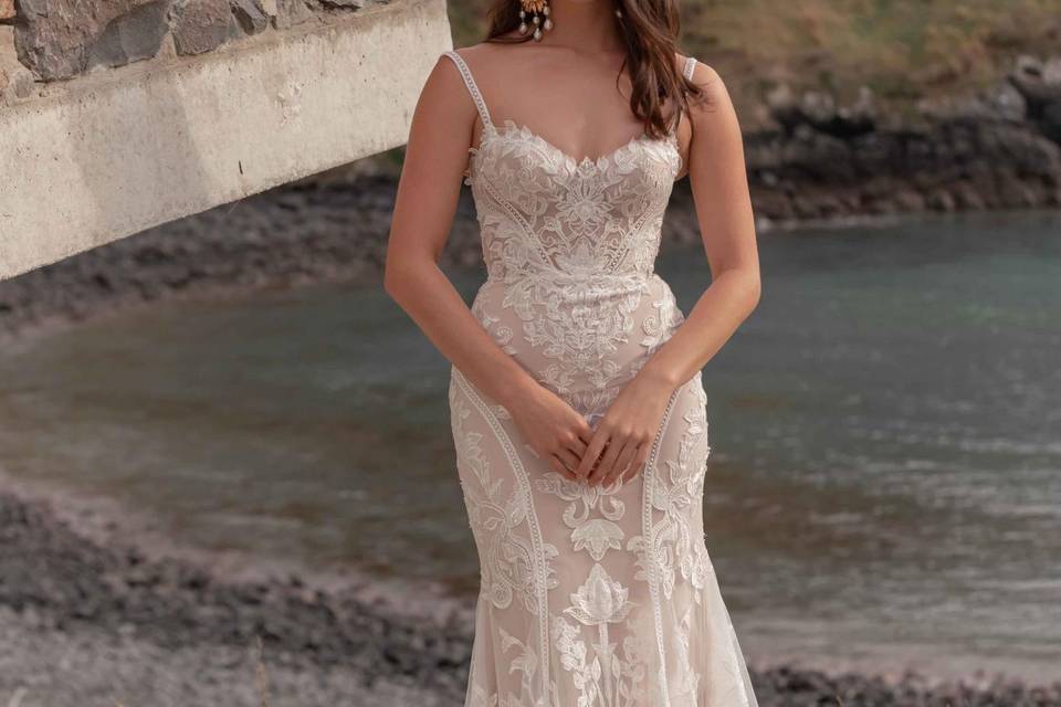 Wedding Frox Bridal Boutique