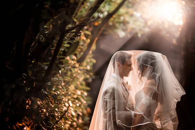 Veil Sunset