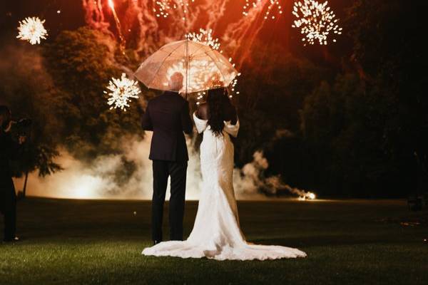Firework 1