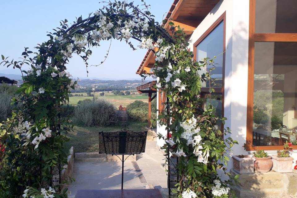 Wedding arch