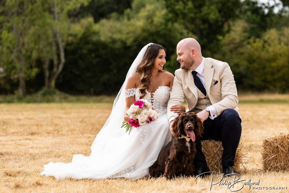 Wedding dog