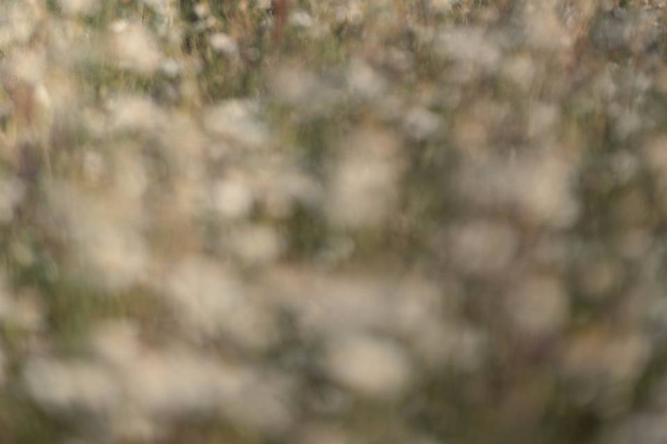 Kandid Kane Photography