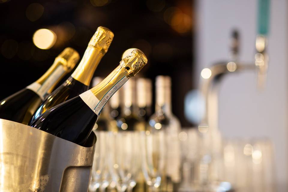 Celebrate in Style!