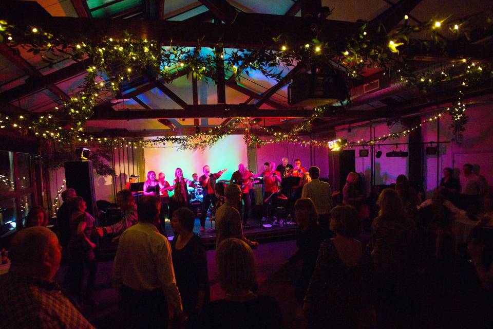 Evening Reception - Band