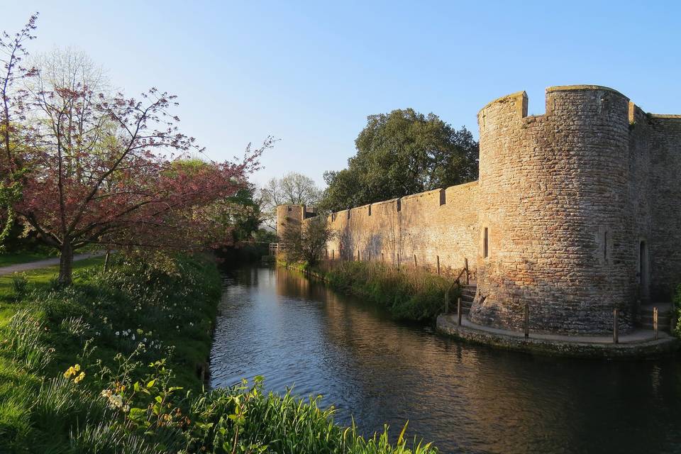 The moat