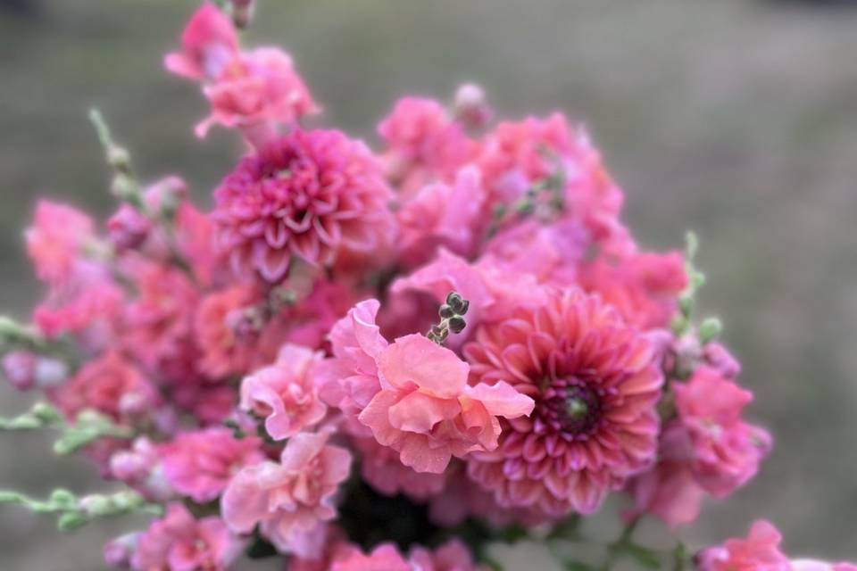 Flower Farm and Florist