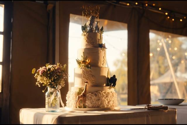 Frame from Becca & Ryan's film