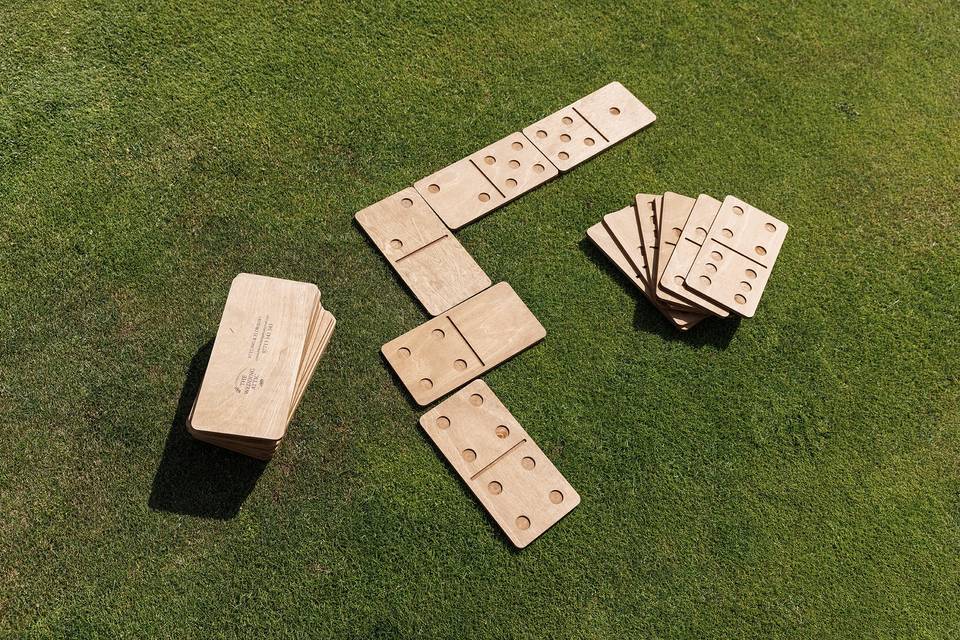 Dominoes (3 of 6)