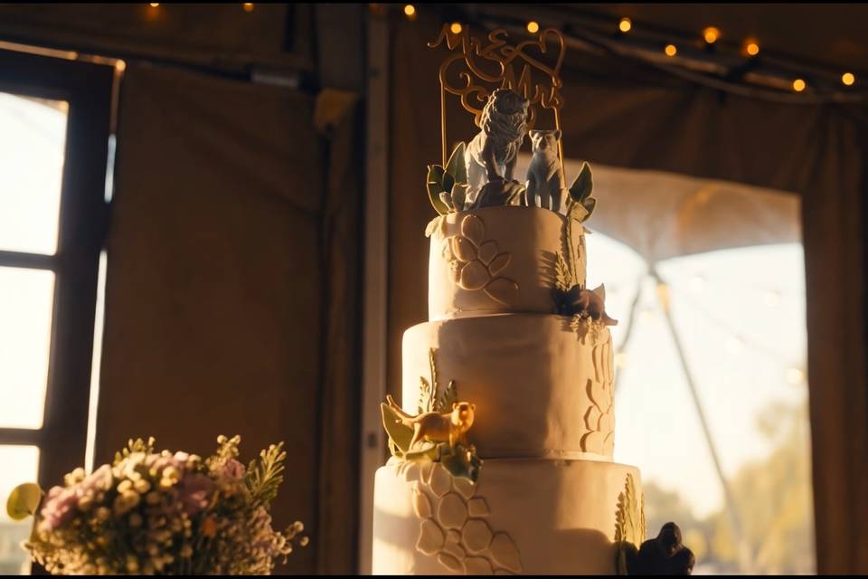 Frame from Becca & Ryan's film