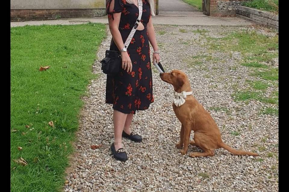 Summer walks