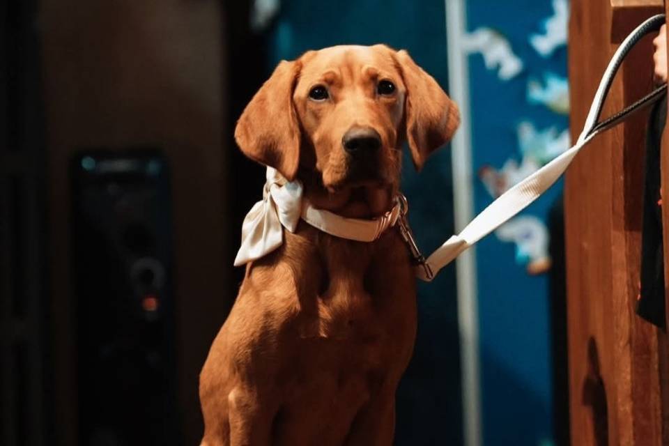 😍