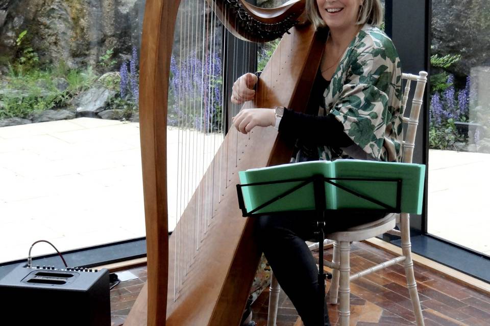 Unique events harpist