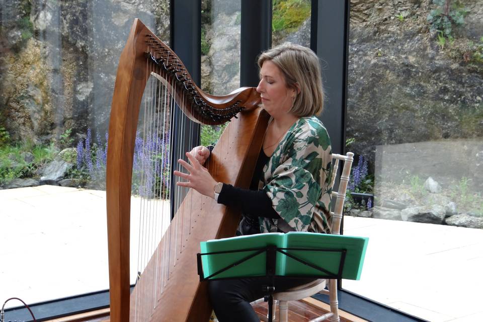 Unique events harpist