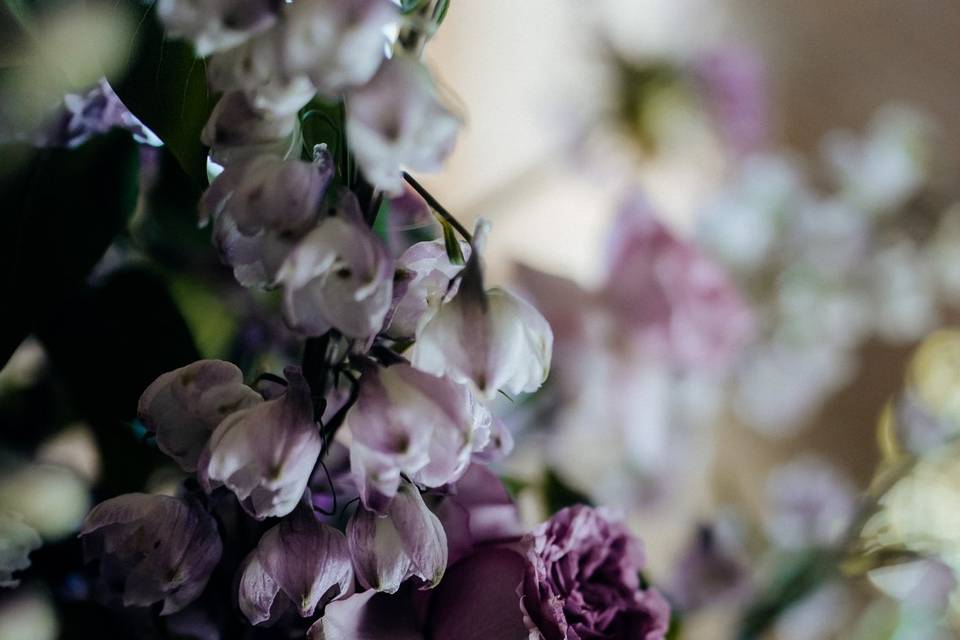 Photo:Clem Stevens Photography