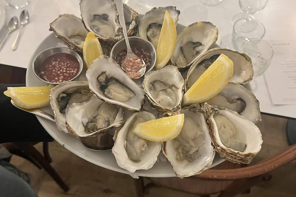 Oysters