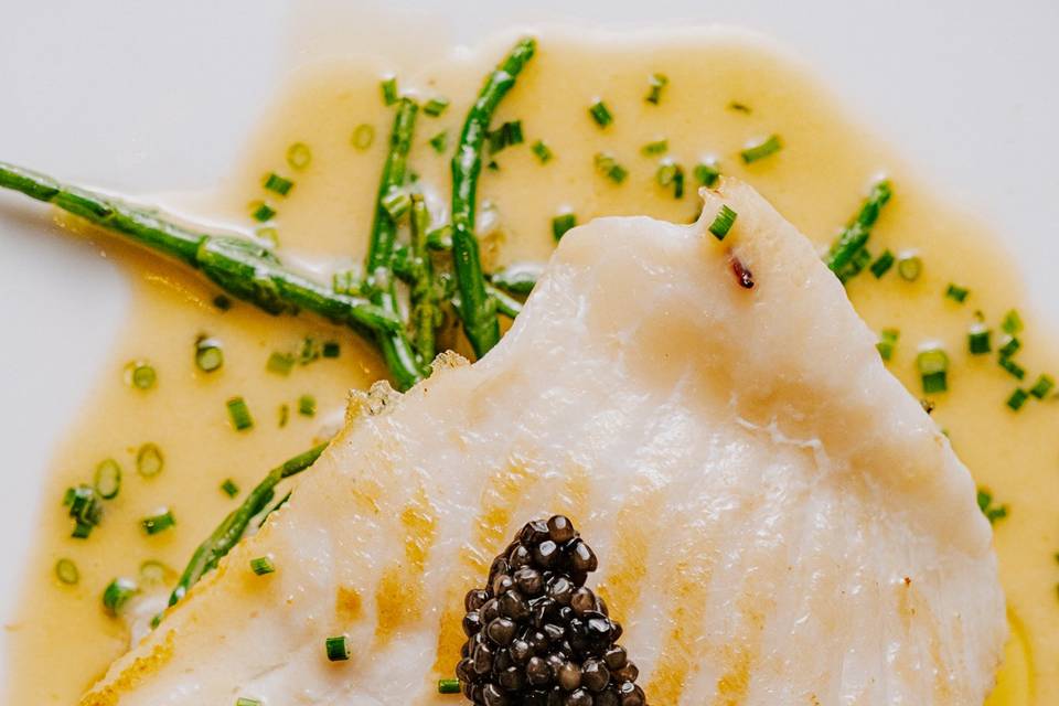 Turbot Fillet, Champagne Sauce