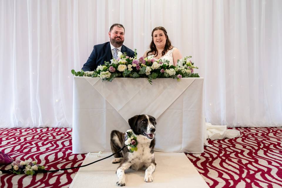 My Pawrents are Married!