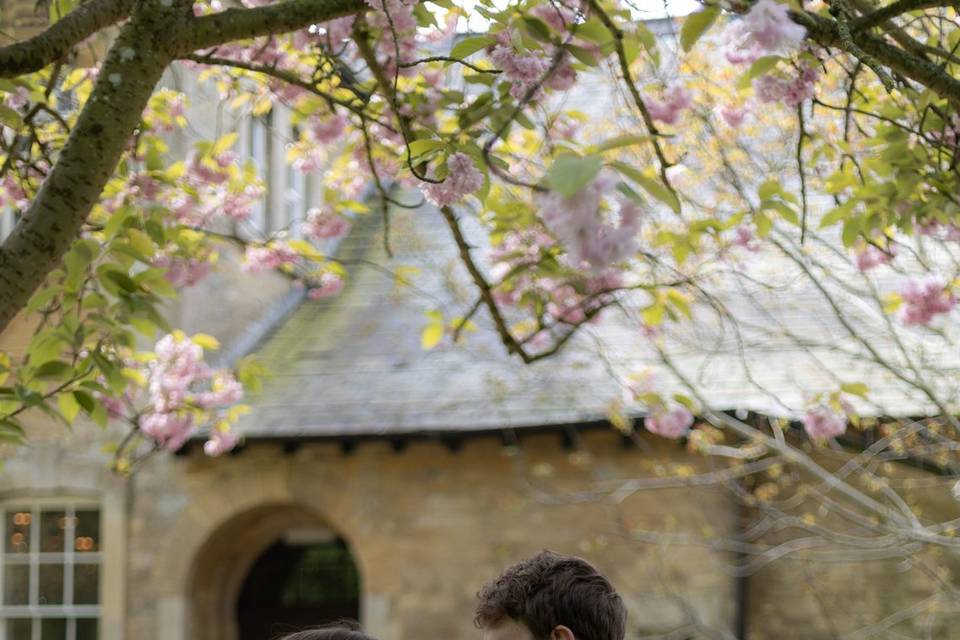 Couple under blossoms