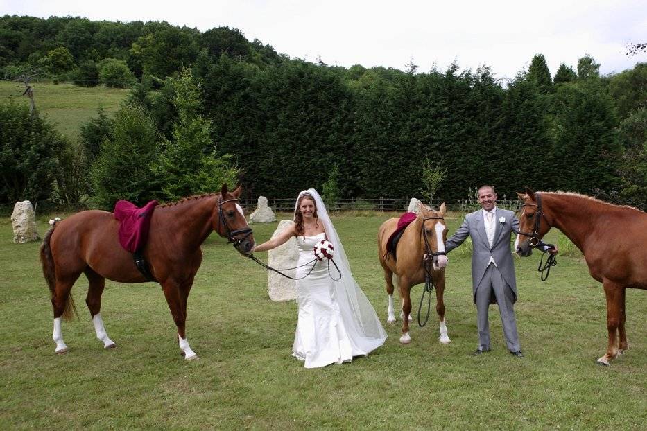 Horses at wedding