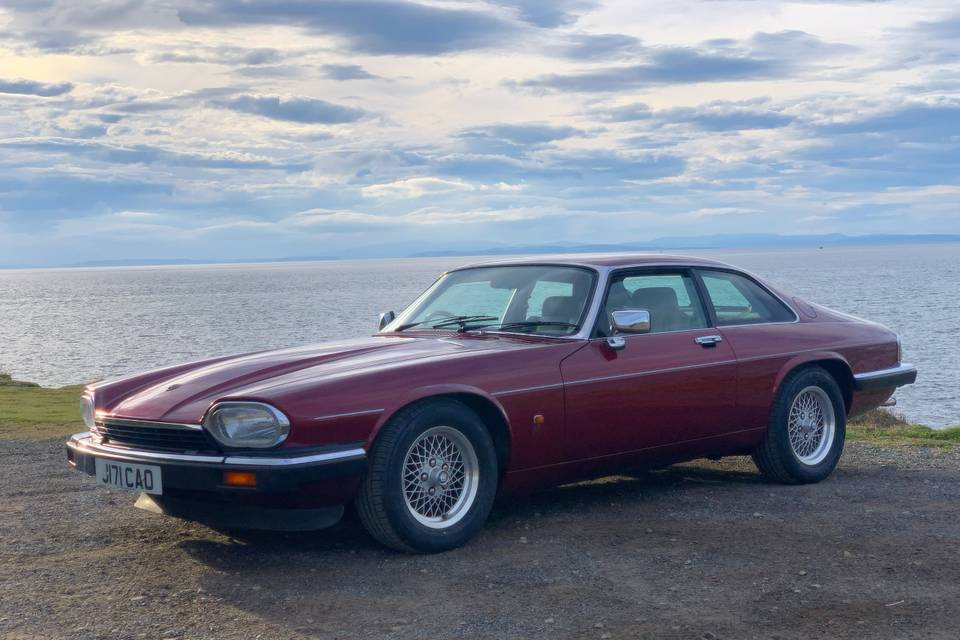 Sophie - 1991 JAGUAR XJS