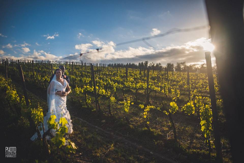 Vineyard wedding