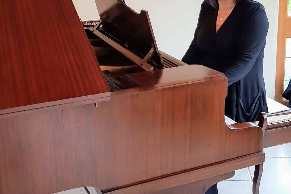 PianoDaisy - Professional Pianist
