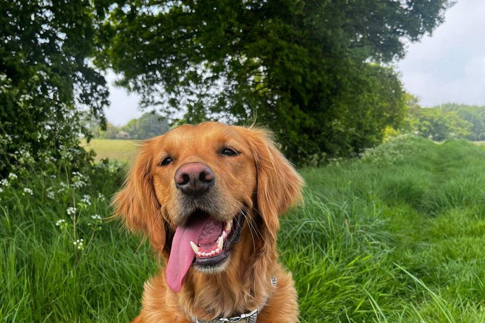 Luna excited