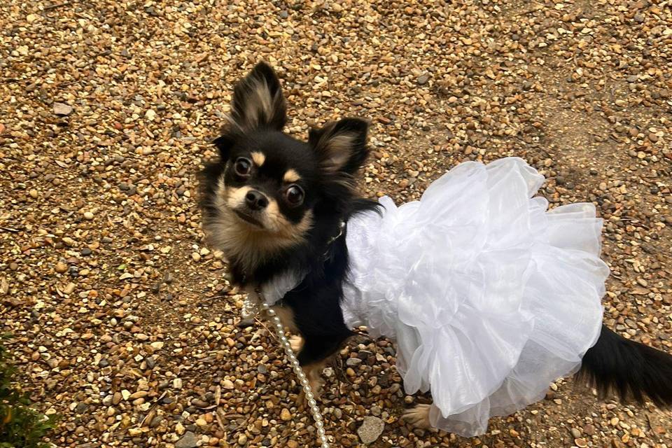 Delilah dressed to impress