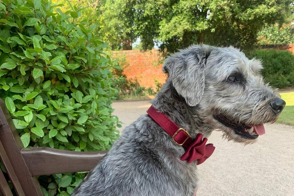 Beccles ready for the wedding!