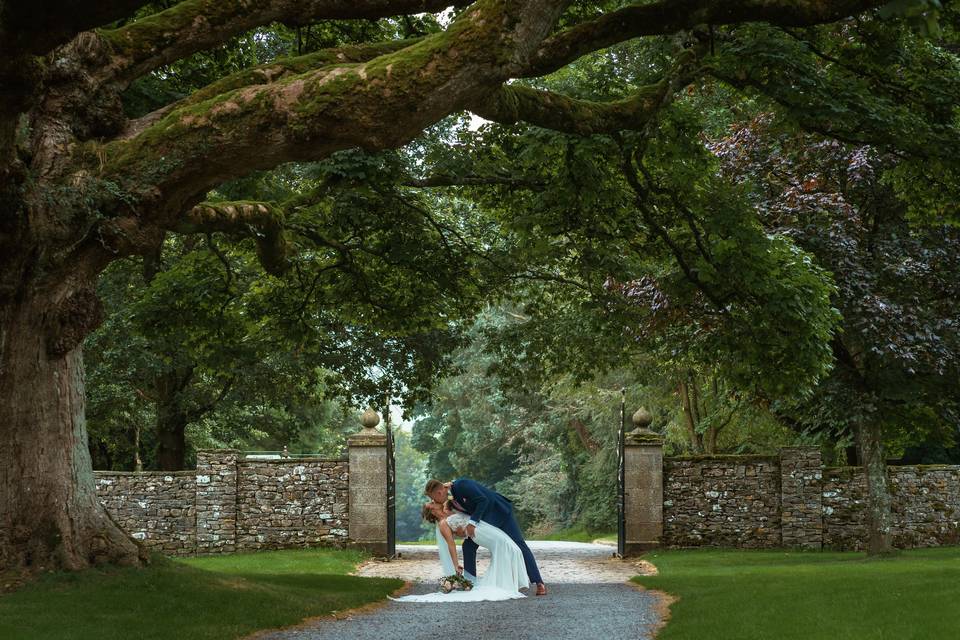 Under the old oak tree