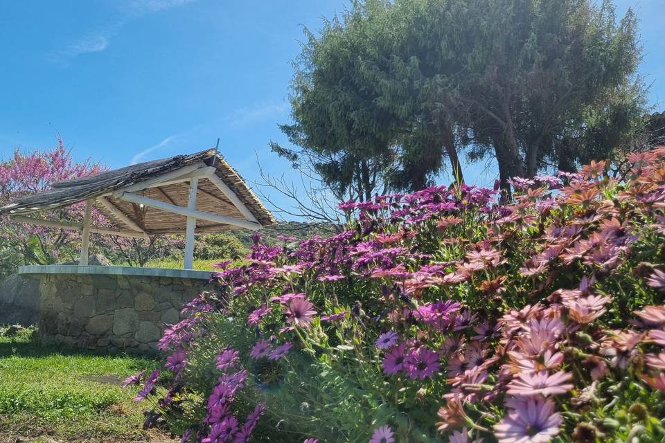 La Quercia della Gallura