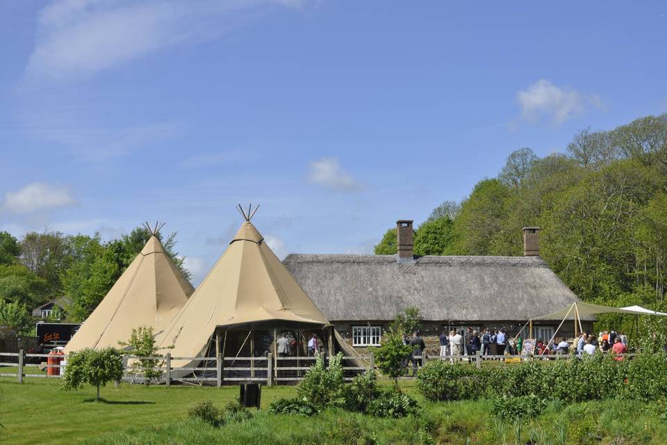 Tipi Wedding