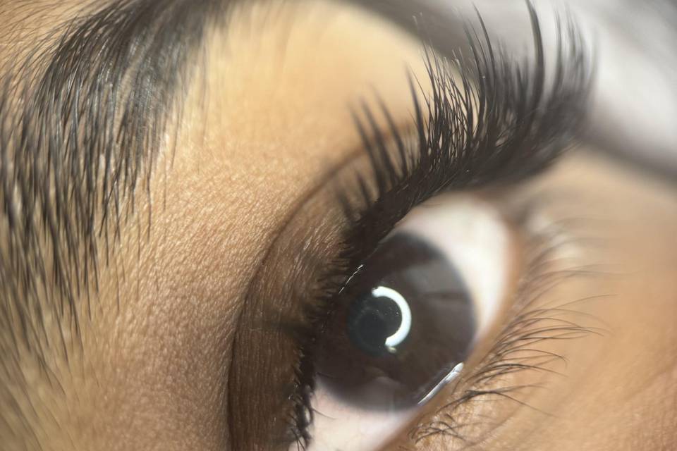 Wispy Lashes