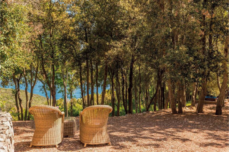 Sea and woods' view