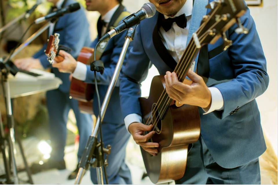 Musicians