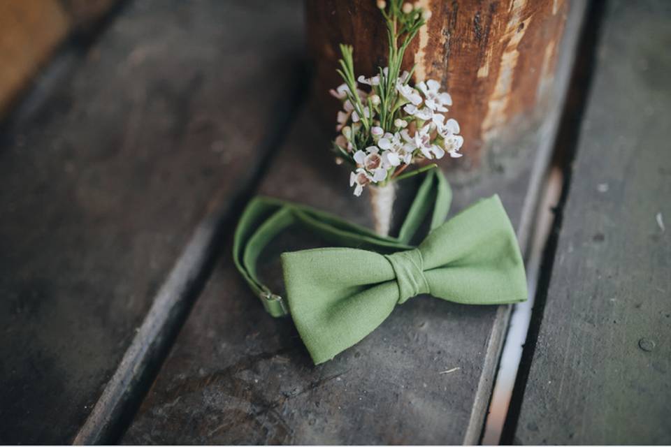 Papillon and flowers