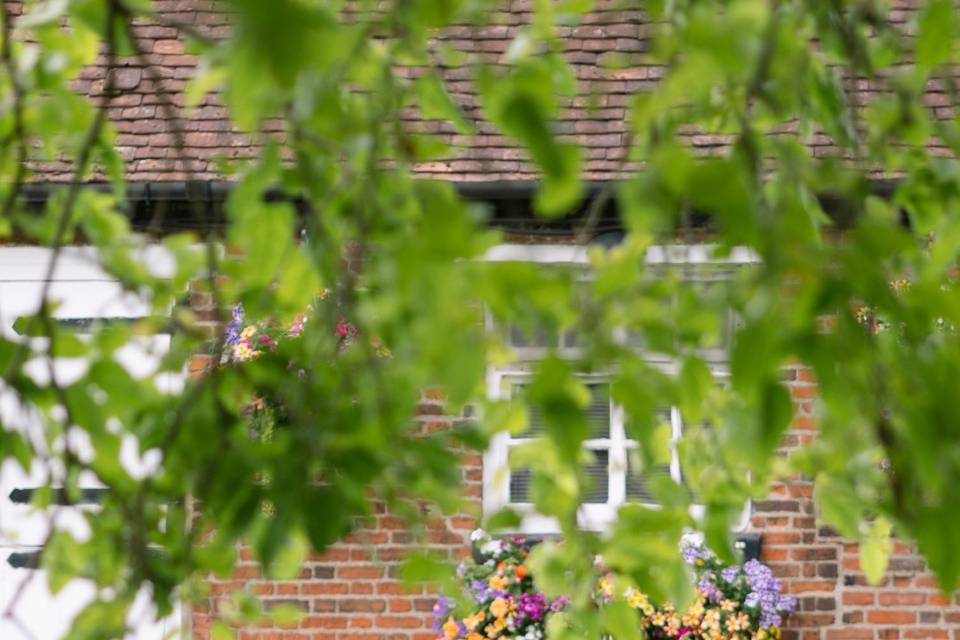 Garden games