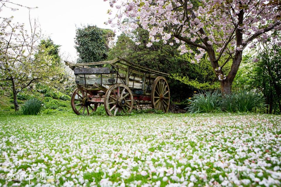 Cart